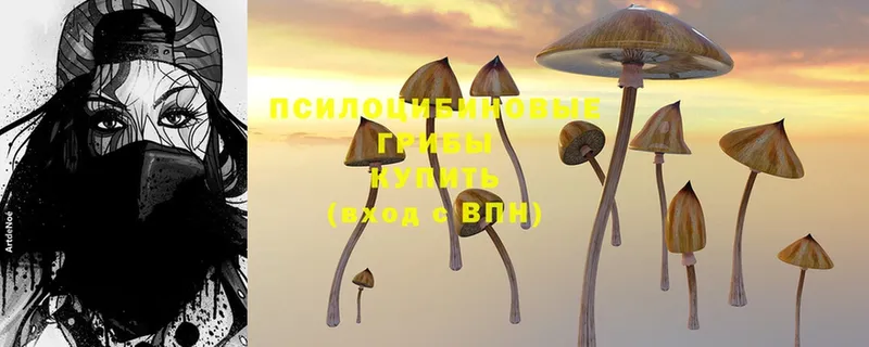 Галлюциногенные грибы Magic Shrooms  Лагань 